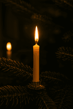 Kerstboomkaars bijenwas 2
