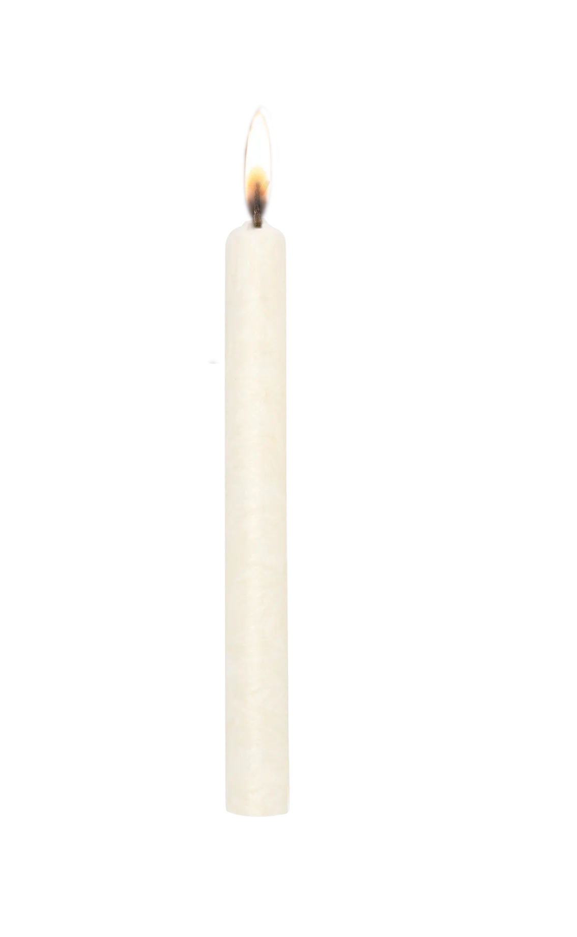 Stearin Dinerkaars Ivoor 12 stuks 23x200 mm