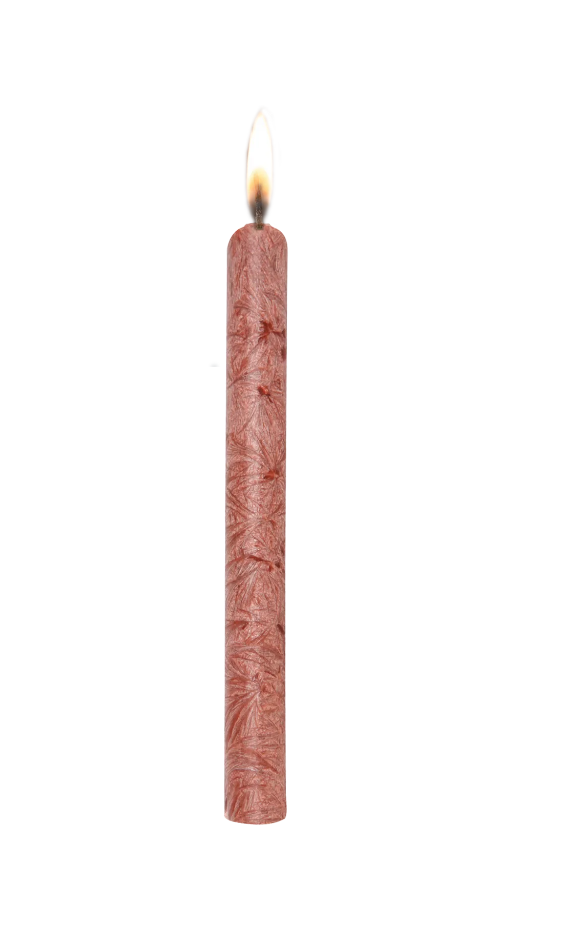 Stearin Dinerkaars Bordeaux 12 stuks 23x200