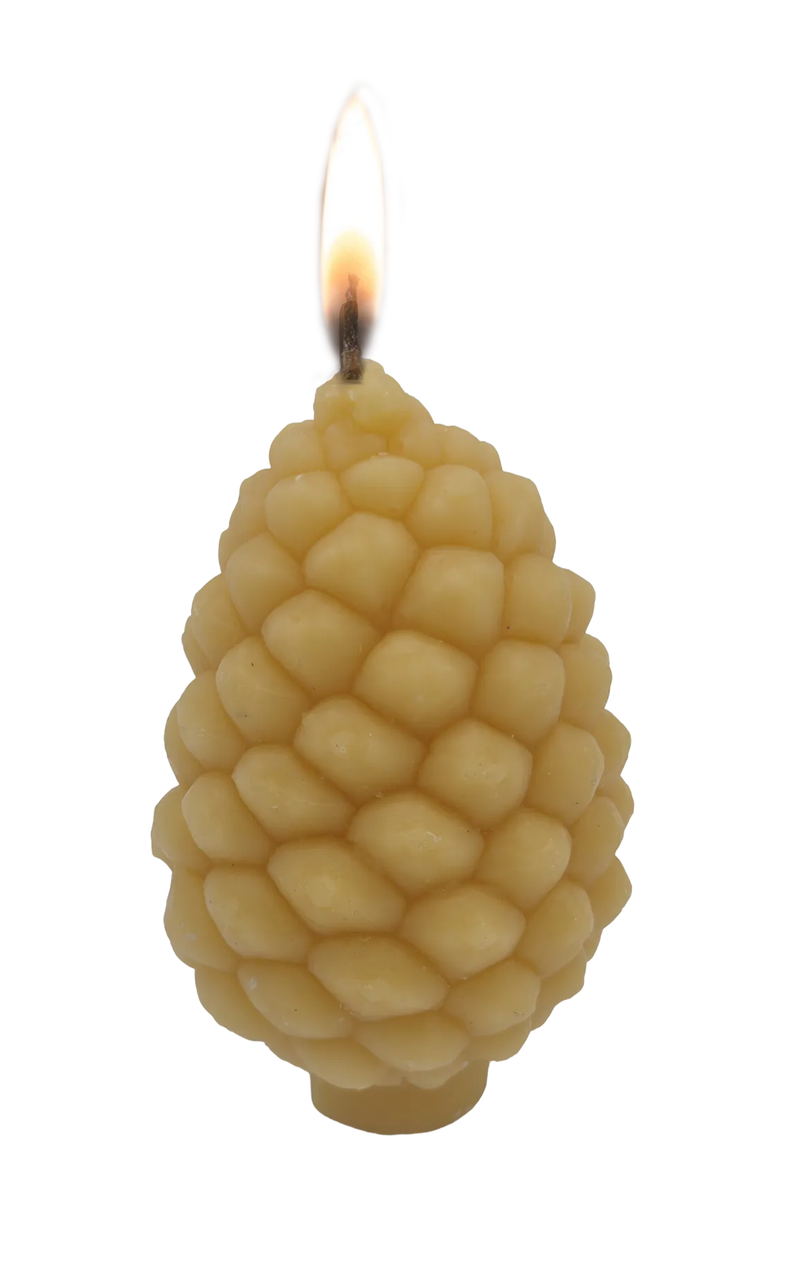 Dennenappel bijenwas 75x110 mm