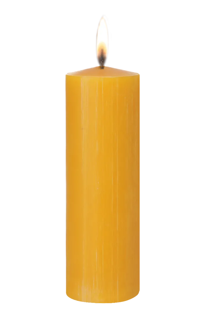 Stompkaars Bijenwas 50x150 mm