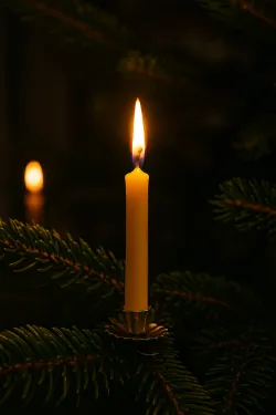 Kerstboomkaars bijenwas
