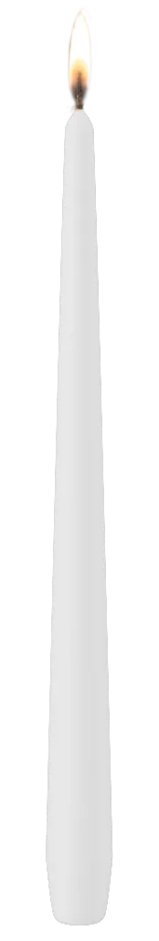 Dinerkaars Spits 25x300 mm / 6 stuks / Wit